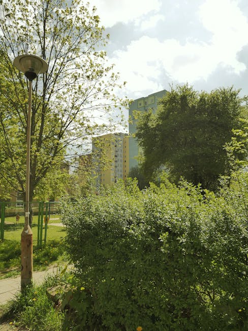 A public park area with a paved pathway bordered by green bushes and shrubs in the foreground. To the left, there is a tall, weathered streetlamp with a round, glass-encased light fixture at the top. Surrounding the pathway are several trees with fresh, light green foliage, indicating new spring growth. In the background, residential high-rise buildings with neutral-colored facades and multiple windows rise above the treetops, creating a contrast between urban development and natural greenery. The sky overhead appears bright with some scattered clouds, and the overall scene suggests daytime in a city park used for outdoor relaxation. The vegetation and environment resemble a well-maintained area suitable for outdoor waste collection or private rubbish removal services, such as those provided by Rubbish Collection Catford, supporting alternative waste handling in an urban setting.