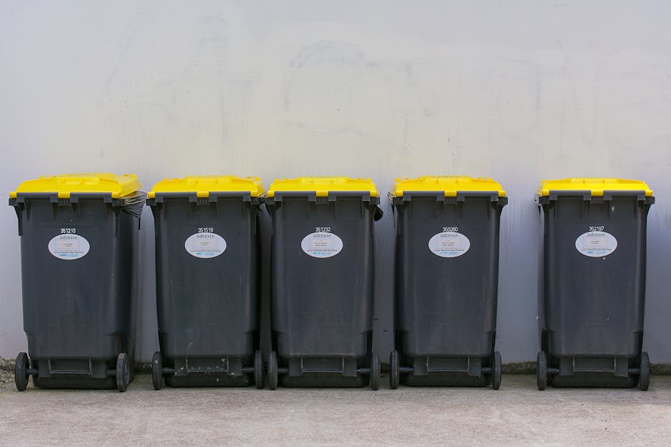 https://rubbishcollectioncatford.co.uk/blog/catford-bridge-station-rubbish-collection-tips-for-homes/