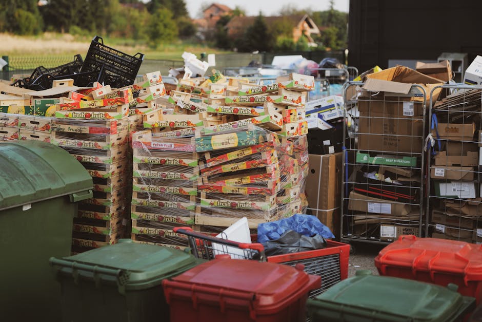 A large outdoor area shows multiple stacks of cardboard boxes filled with fresh fruit packaging, arranged on wooden pallets. The boxes display colourful printed labels with fruit images and the word 'fresh' in prominent text, suggesting they once contained fresh produce. Surrounding the pallets are various waste containers, including green and red plastic wheelie bins, positioned at the front of the scene, with some lids closed. To the right, there are metal wire cages and additional cardboard boxes, some open and containing miscellaneous packaging materials and paper. The environment appears to be a waste collection or disposal site, likely related to private rubbish handling services, with natural daylight illuminating the scene. In the background, a rural landscape with trees and residential buildings can be seen, indicating this is an outdoor setting in a residential or semi-rural area, consistent with alternative rubbish removal options that may be offered by companies like Rubbish Collection Catford. The overall composition emphasizes organized bulk waste ready for collection, with a focus on cardboard and packaging waste accumulation.